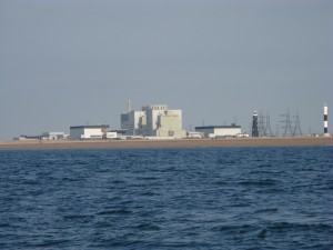 40873306-Dungeness